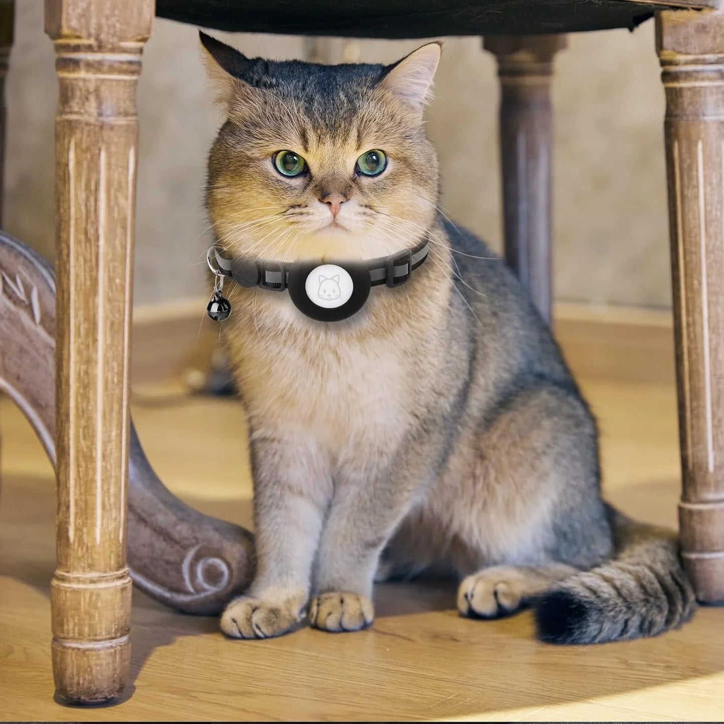 2-Pack AirTag Cat & Dog Collar with Reflective Strap & Bell