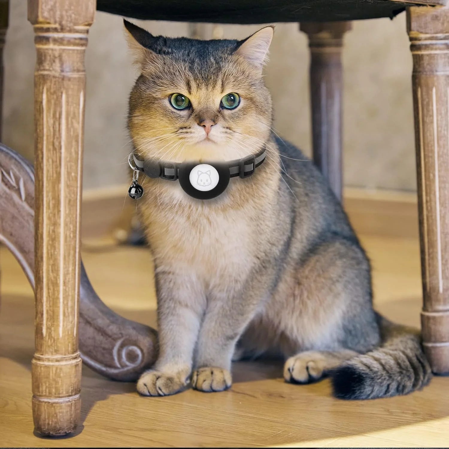 2-Pack AirTag Cat & Dog Collar with Reflective Strap & Bell