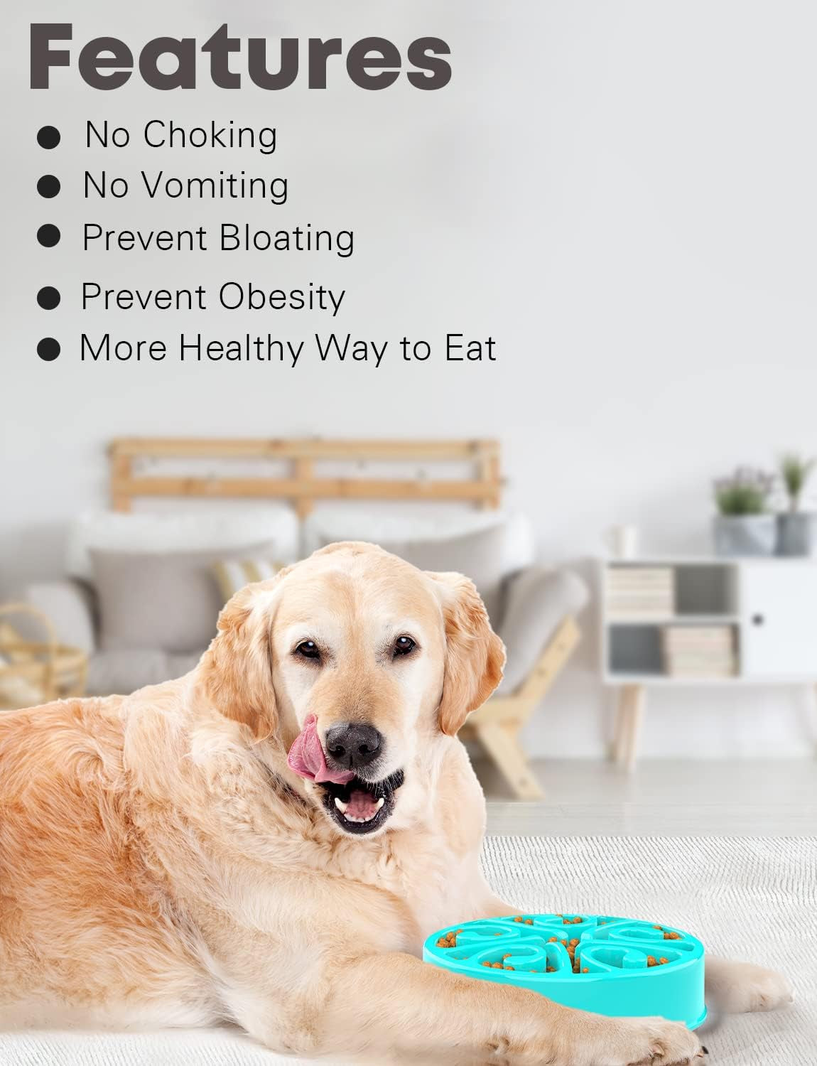 Puzzle Slow Feeder Bowl for Dogs & Cats